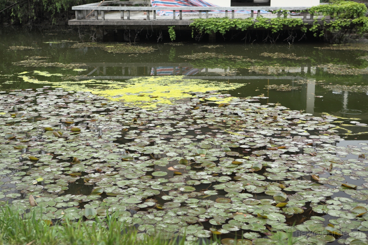 EOS 5D Mark II16_04_20135224.JPG